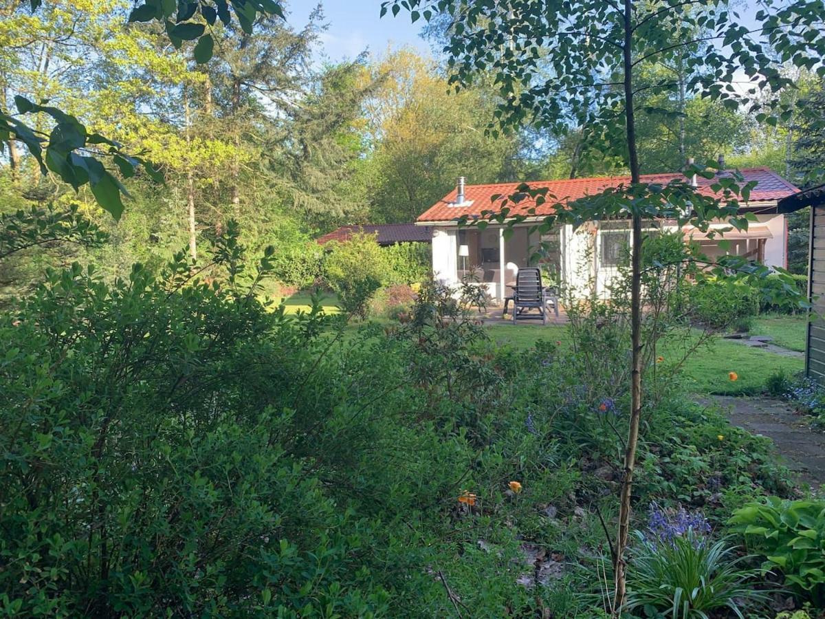 Huisje Exloo Exteriör bild