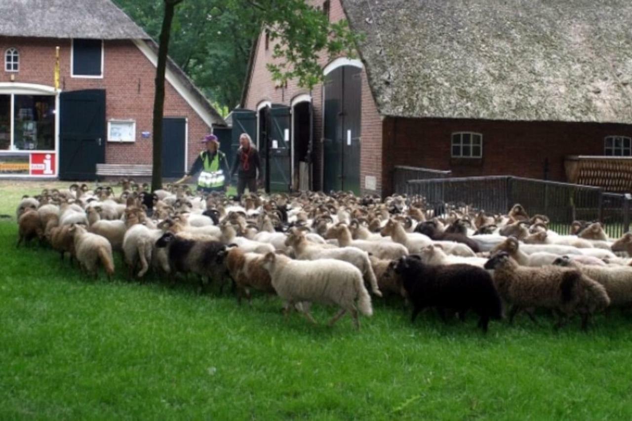 Huisje Exloo Exteriör bild