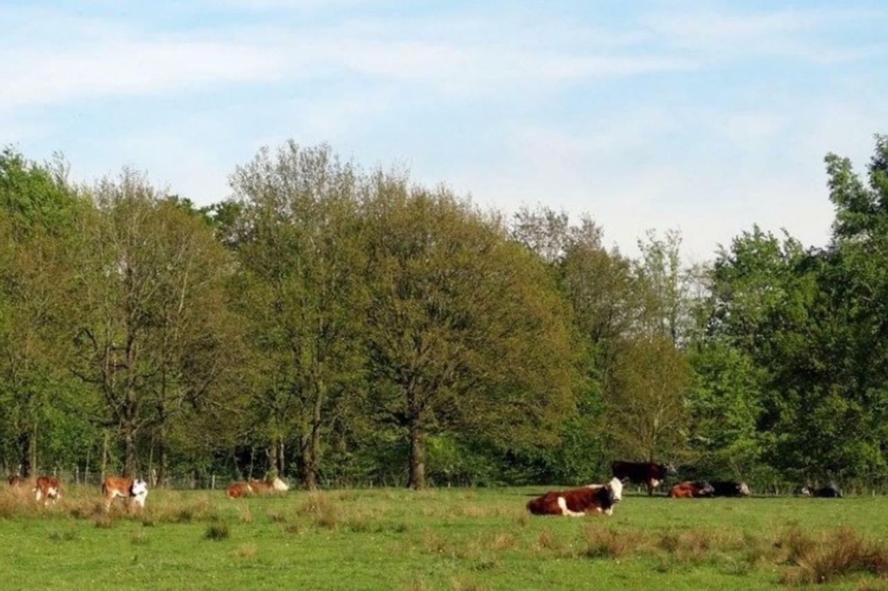 Huisje Exloo Exteriör bild